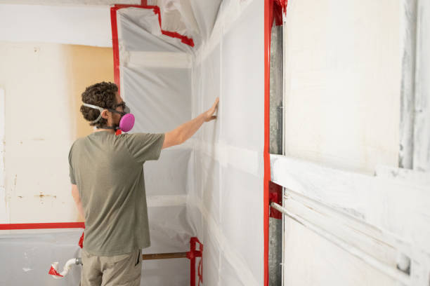 Best Mold Remediation for Healthcare Facilities  in New City, NY